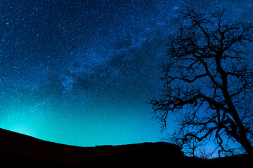 Beautiful starry sky with bright milky way galaxy. Night landscape. Dry tree on the hill on the...