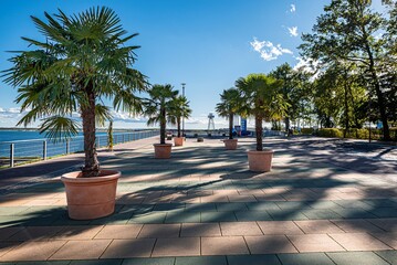 Palmen am Gro&szlig;r&auml;schener See