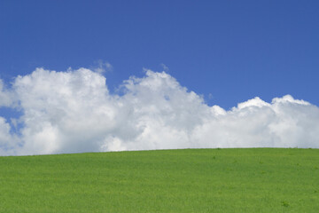 Fototapeta premium 草原と雲