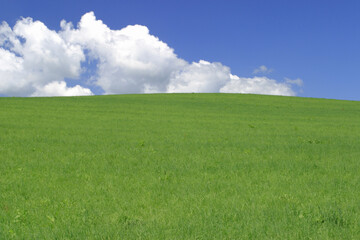 草原と雲