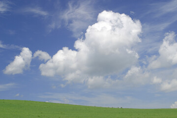 Fototapeta premium 草原と雲