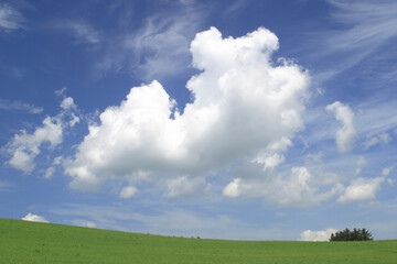 Fototapeta na wymiar 草原と雲