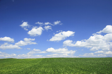 小豆畑と雲