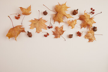 Autumn composition. Dried leaves and pompkins on pastel biege background. Top view. Flat lay.