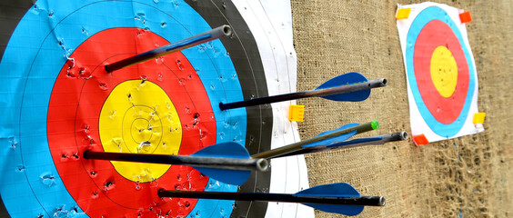 Crossbow target with arrows