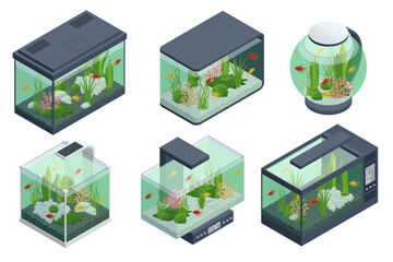 Isometric Goldfish in the Freshwater Aquarium and Set of Aquarium Underwater Elements, Fish, Corals, Green Planted Tropical, Stones Isolated on White Background.