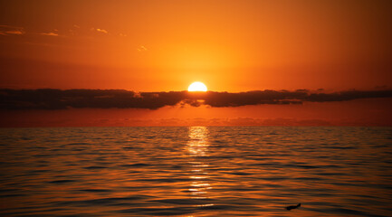 Fototapeta na wymiar Fire sunset over the sea