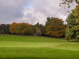 Autumn in Lowndes Park