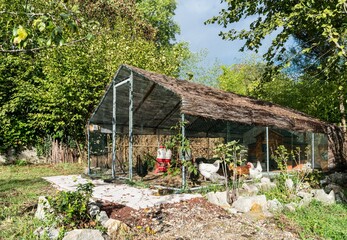 Spacious aviary with thatched roof. Family hen house for laying hens. © JK