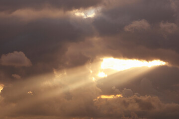 Fototapeta premium 雲