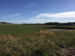 river in the field