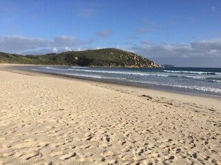 beach in summer
