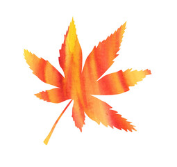 Watercolor chesnut autumn leaf red and yellow