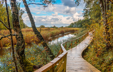 Wooden walkway with bridge in autumnal forest in Nature Reserve and public park near the Baltic Sea