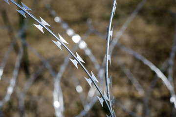 Shallow depth of field (selective focus) image razor wire.