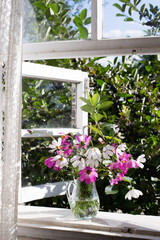 Flowers of cosmos in glass vase on windowsill in countryside