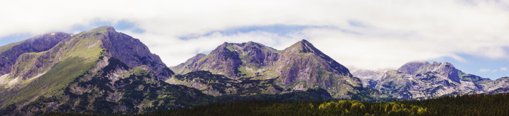 Fototapeta premium Scenic view of mountain landscape , forest at summer day. National park Durmitor, Montenegro, Europe.