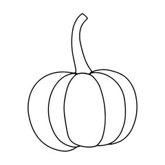 Pumpkin, leaf, acorn, mushroom.  Vector doodle element. For printing on paper, package, web banners, greeting cards. Autumn Thanksgiving day Happy Halloween party. Forest. Vegatarian food symbols.
