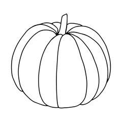 Pumpkin, leaf, acorn, mushroom.  Vector doodle element. For printing on paper, package, web banners, greeting cards. Autumn Thanksgiving day Happy Halloween party. Forest. Vegatarian food symbols.
