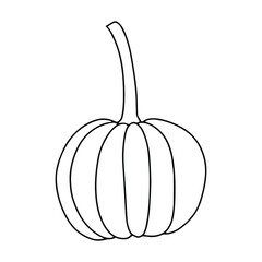 Pumpkin, leaf, acorn, mushroom.  Vector doodle element. For printing on paper, package, web banners, greeting cards. Autumn Thanksgiving day Happy Halloween party. Forest. Vegatarian food symbols.
