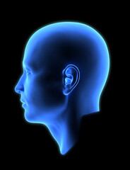 3D man head side view isolated on dark BG