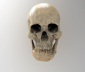 3D human skull illustration isolated on gray BG