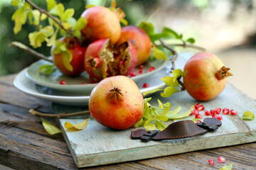 colheita de outono de frutas maduras da romã.