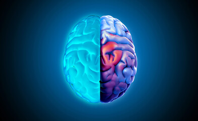 3D rendering brain top view blue on left and colorful red on right