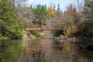 Fototapeta na wymiar Railroad bridge in the forest