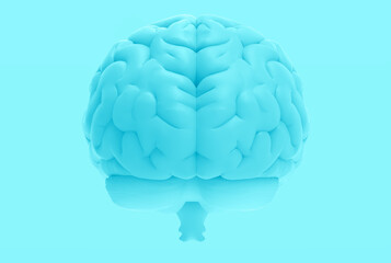 3D rendering hemispheres left and right cerebral brain on blue BG