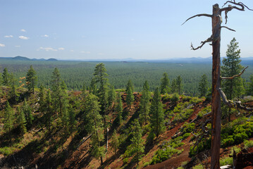 Hiker on rim of Lava Butte cinder cone