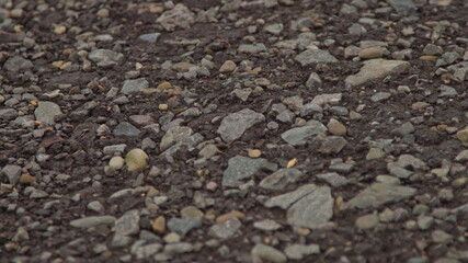 stones background, background of preparation of works for a paving, stones near the road, exactly...