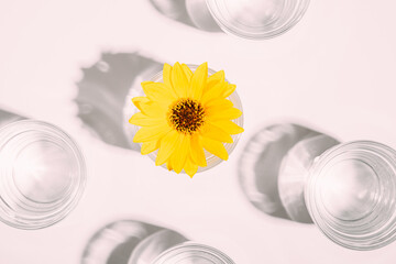 Fresh clear water drink with yellow flower in glass on white background, hard light creative...