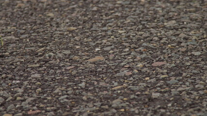 stones background, background of preparation of works for a paving, stones near the road, exactly lined stone and gravel before construction, a basis for construction