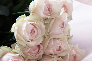 Obraz premium 花束