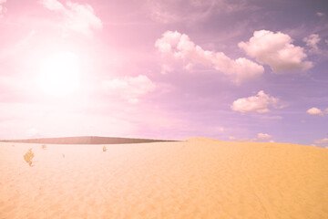 Fototapeta na wymiar A bright sun shines over the desert. Nature in summer