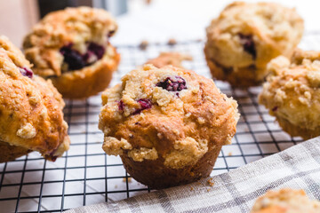 Blackberry muffin on a cooling rack