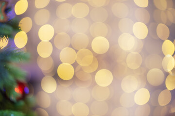 Blurred Christmas background with tree branch and light bokeh