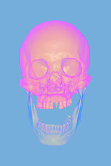 3D rendering pink and blue skull isolated on pastel blue BG