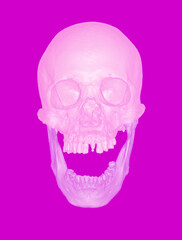 3D rendering pastel pink skull isolated on magenta BG