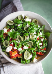 Green orecchiette with arugula tomato sauce and goat cheese on a green surface