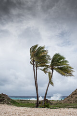 Hurricane Delta tearing up the coastline of Grand Cayman