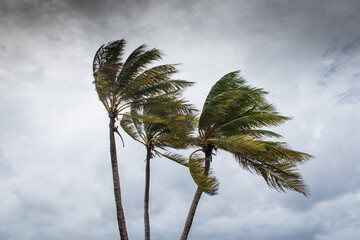 Hurricane Delta tearing up the coastline of Grand Cayman