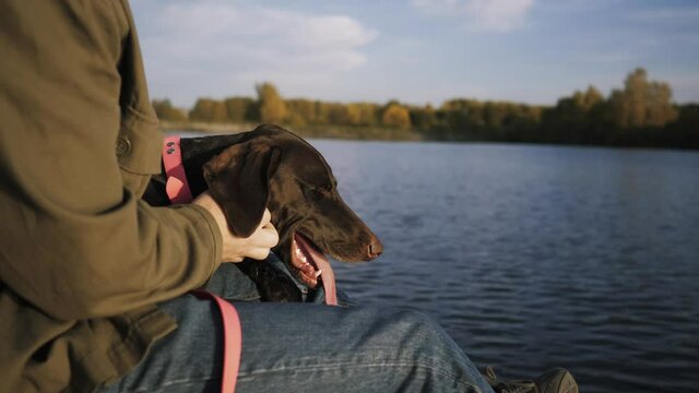 young guy sitting with dog on the pier and admiring the beauty of the lake
