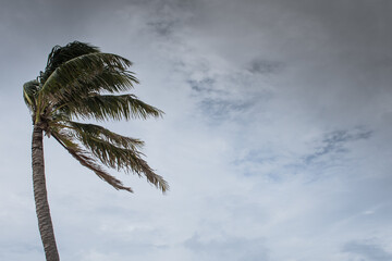 Hurricane Delta tearing up the coastline of Grand Cayman