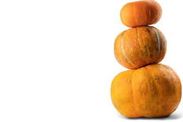 Three pumpkins of different sizes on top of each other on a white background