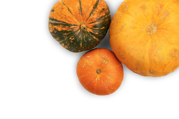 Three colorful pumpkins of different sizes on a white background