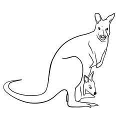 Kangaroo with baby cub in kangaroo pouch animal sketch engraving vector illustration. Mother's Day,. . For cards, posters, decor, t shirt design, logo tattoo illustration.