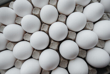 Tray of white fresh eggs close-up on a cardboard form. Agricultural industry