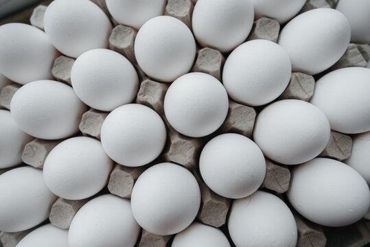 Tray of white fresh eggs close-up on a cardboard form. Agricultural industry
